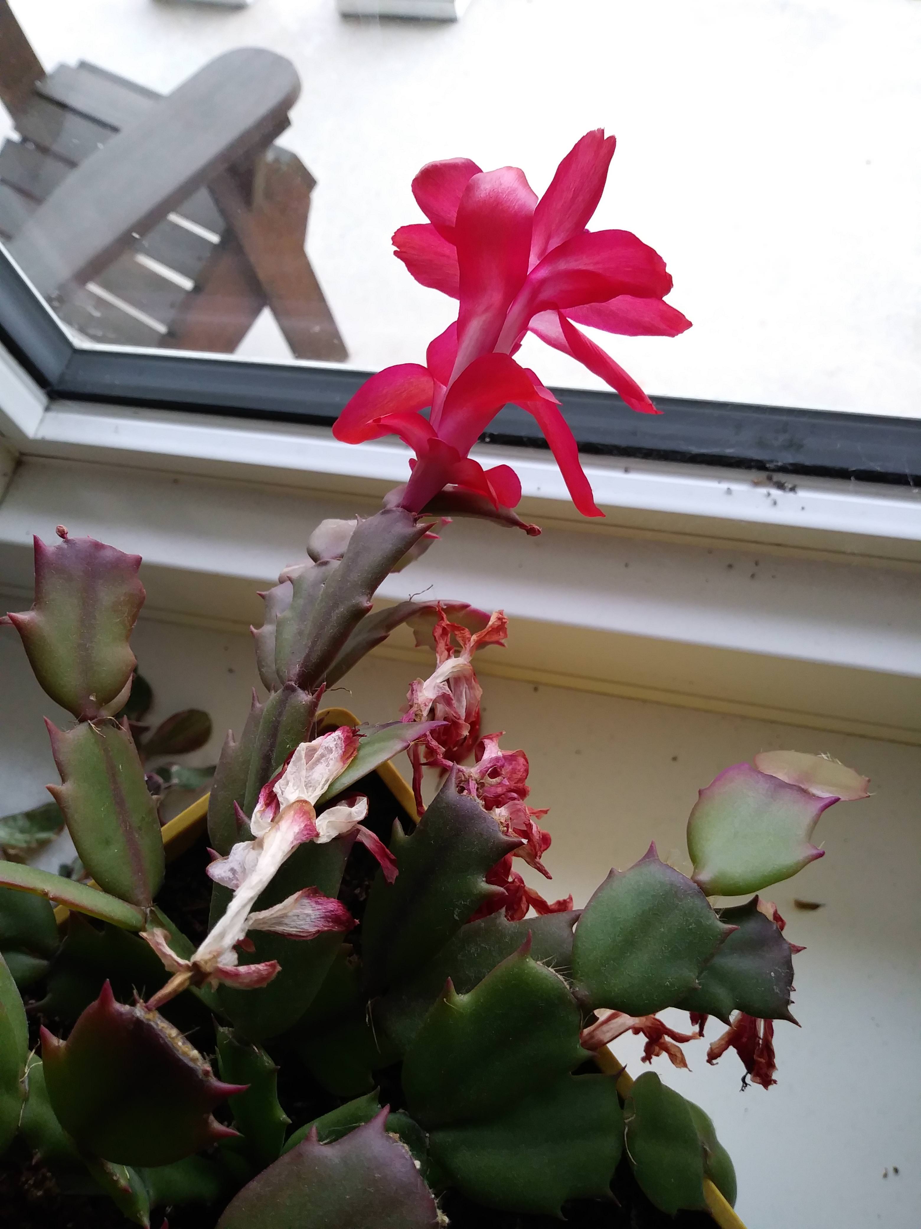 [Image: rwjTbMo.jpg]