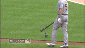 [Image: tIjJvdV.gif]