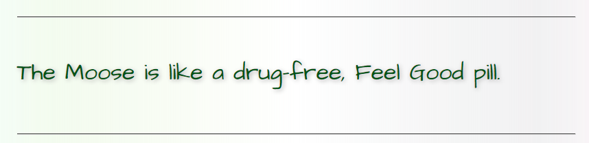 [Image: xbp7Kwk.png]