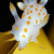 [Image: ytqFGi9.png]