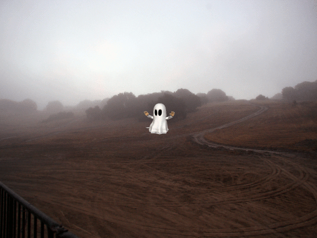 [Image: zY5lAyg.gif]