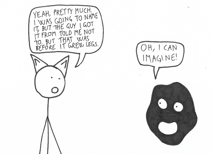 [Image: 1yPyDMc.png]