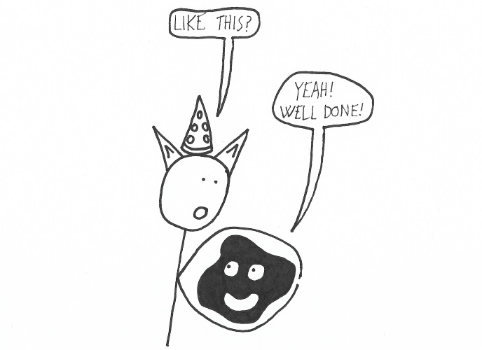 [Image: IeDcdQX.png]