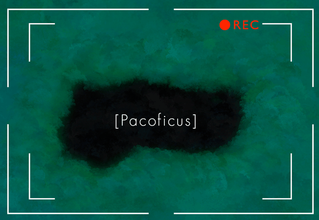 [Image: xaccH7H.gif]